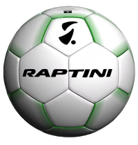 Raptini Wedstrijdbal Groen – 370 gram – size 5 P30333